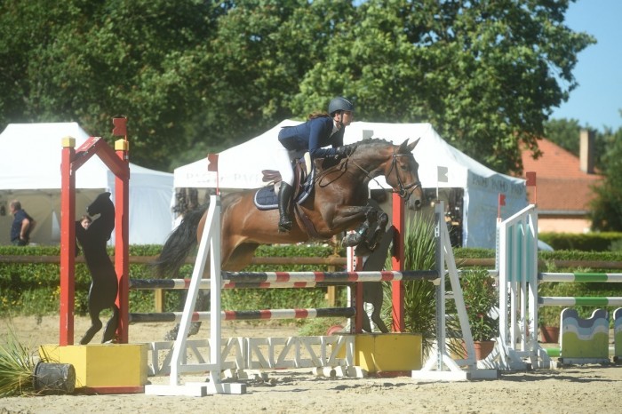 Photo de profil de horsecoaching