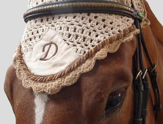 Photo de profil de horsecompagnies