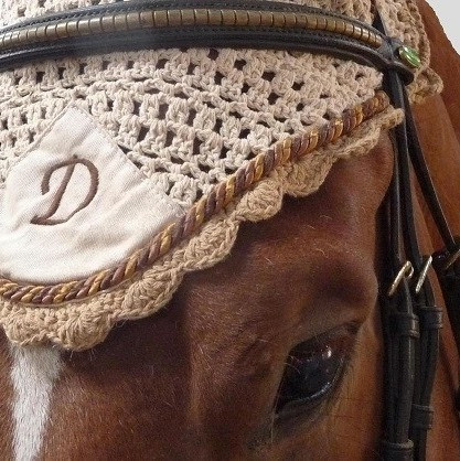 Photo de profil de horsed14