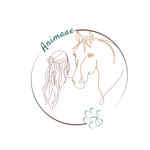 Photo de profil de horseetbienetre