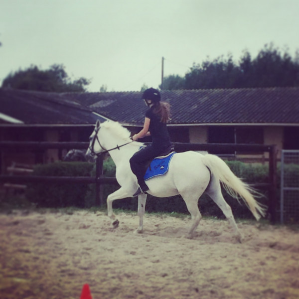 Photo de profil de horselove28