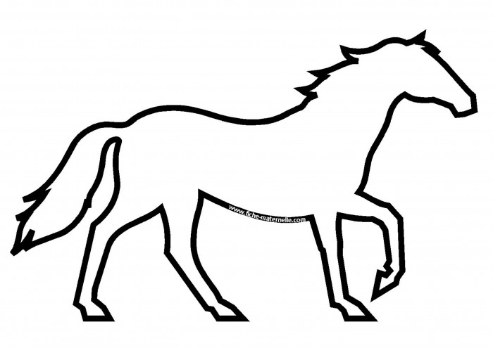 Photo de profil de horse.passion02