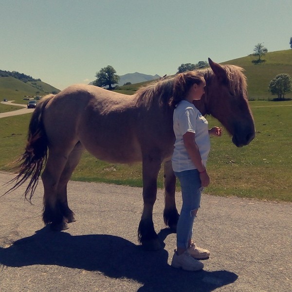 Photo de profil de horsespassions