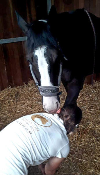 Photo de profil de horsingcare