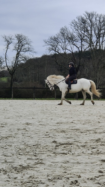 Photo de profil de hortense.c
