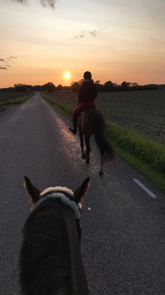 Photo de profil de horus_emilie