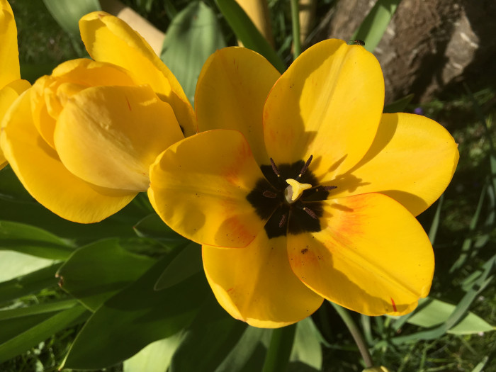 Photo de profil de horze_paradox