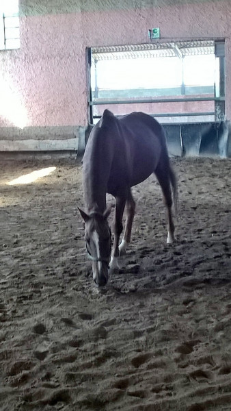 Photo de profil de hrisnimes