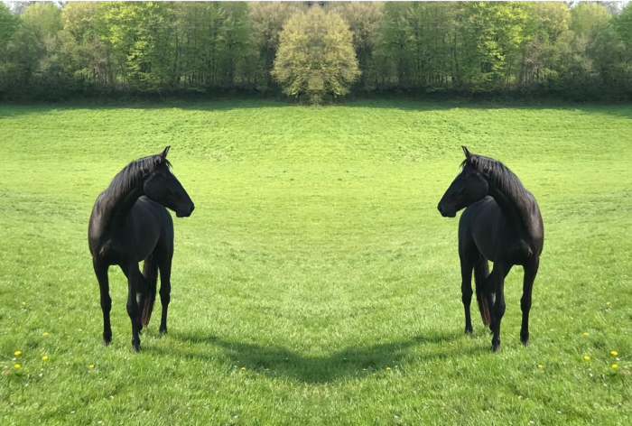 Photo de profil de hvf61