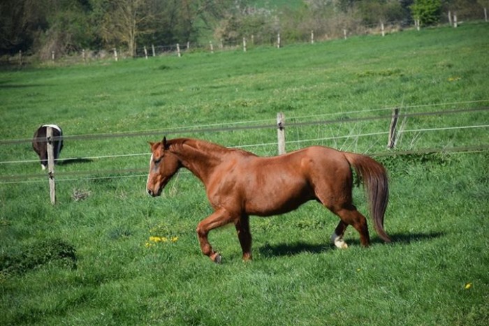 Photo de profil de ibis77
