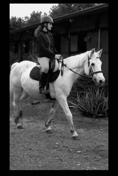 Photo de profil de iconedu33