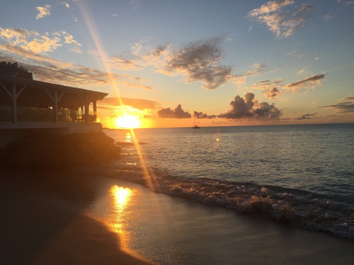 Photo de profil de idihorse