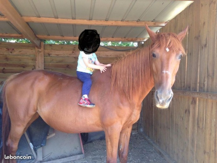 Photo de profil de idylle441