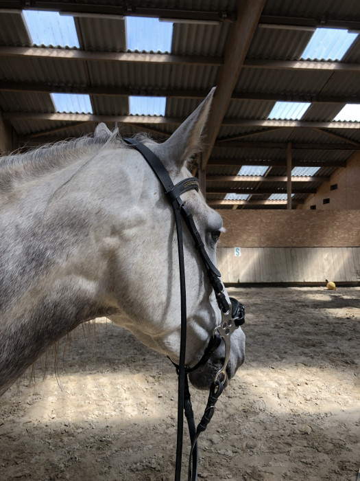 Photo de profil de ifenn.bzr