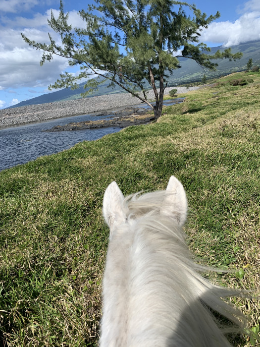 Photo de profil de iffys