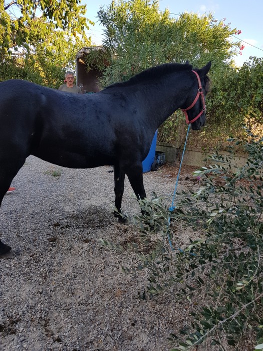 Photo de profil de iinina