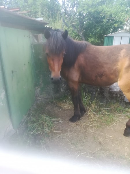 Photo de profil de illa