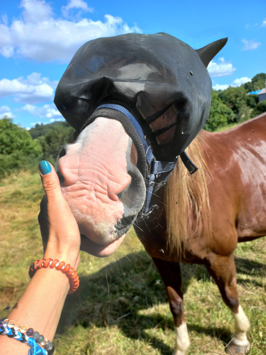 Photo de profil de illouce