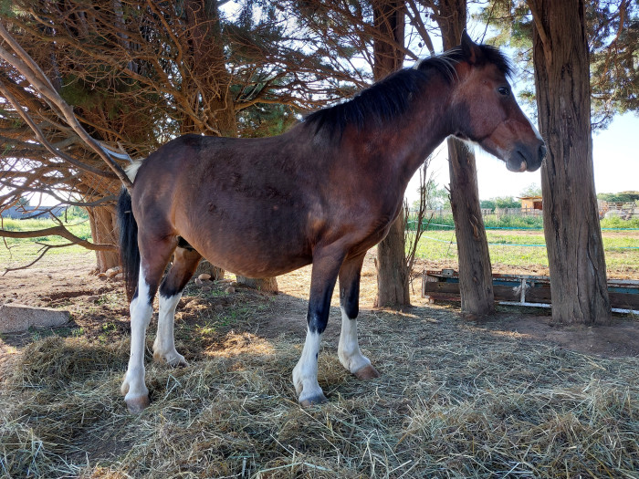 Photo de profil de ilousari
