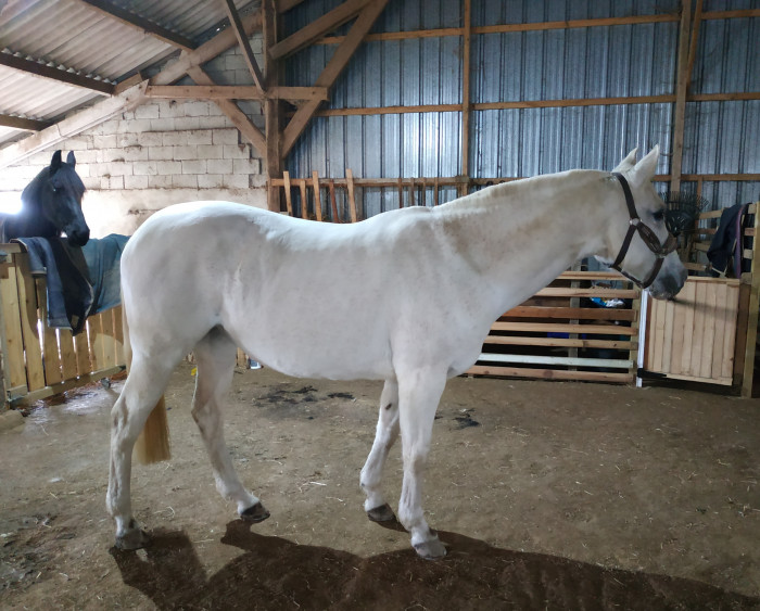 Photo de profil de imkje