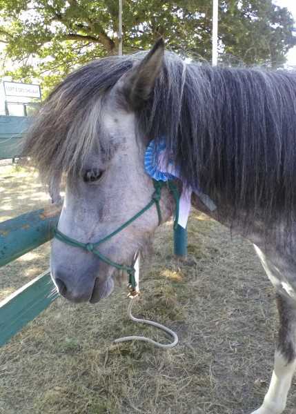 Photo de profil de ines44