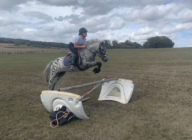 Photo de profil de inessb