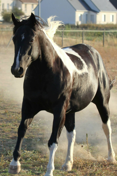 Photo de profil de ingalls