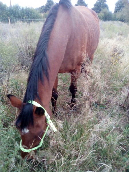 Photo de profil de ingrid29