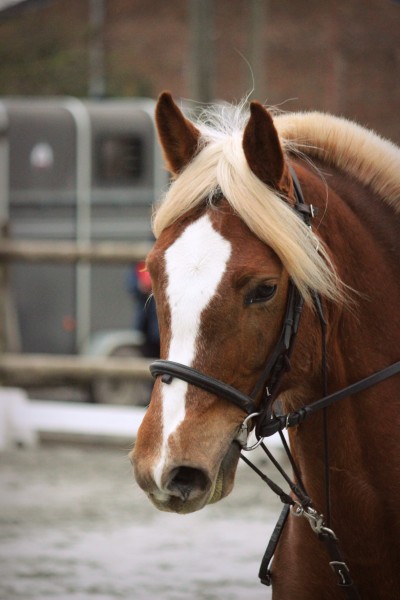 Photo de profil de iniecout