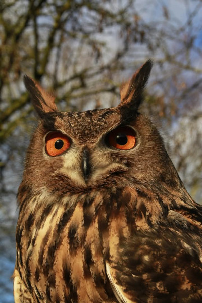 Photo de profil de ioann