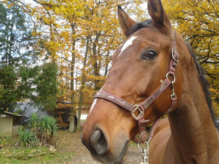 Photo de profil de irenakis