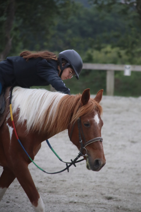 Photo de profil de irina_equit13