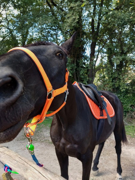 Photo de profil de iris600