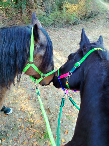 Photo de profil de iris600