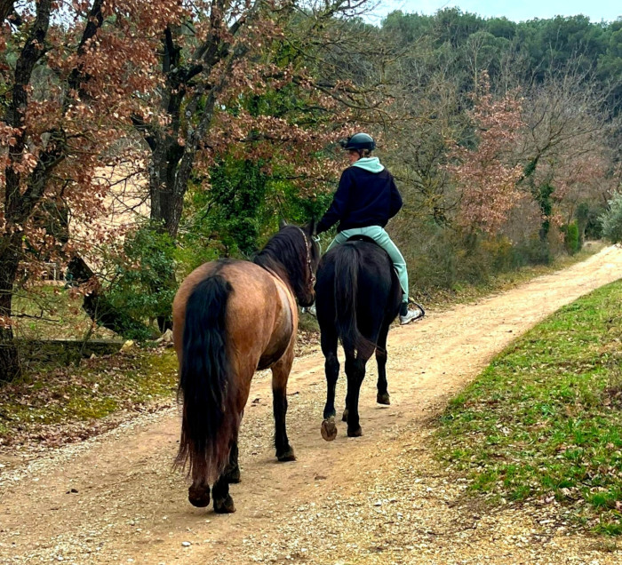 Photo de profil de iris600