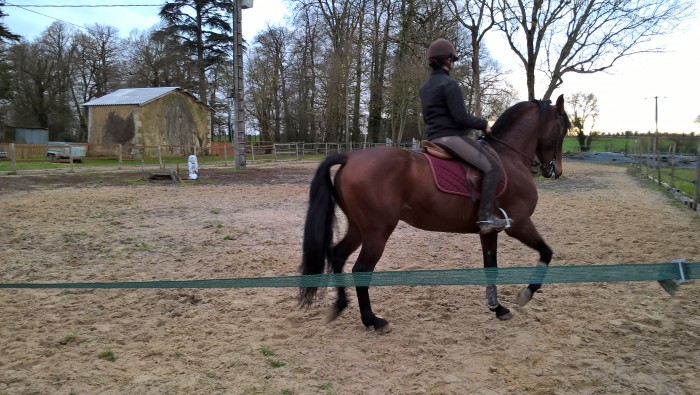 Photo de profil de iroise79