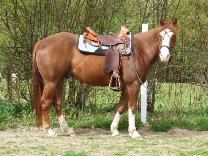 Photo de profil de isa23