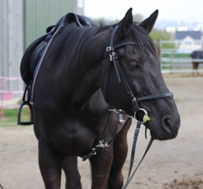 Photo de profil de isa73mat