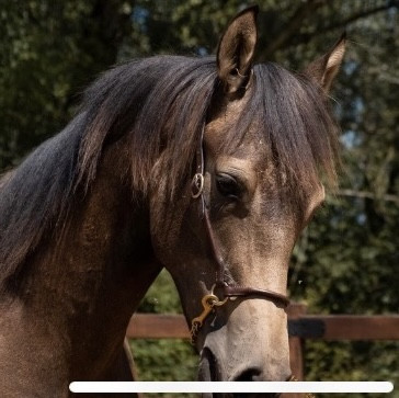 Photo de profil de isa9015