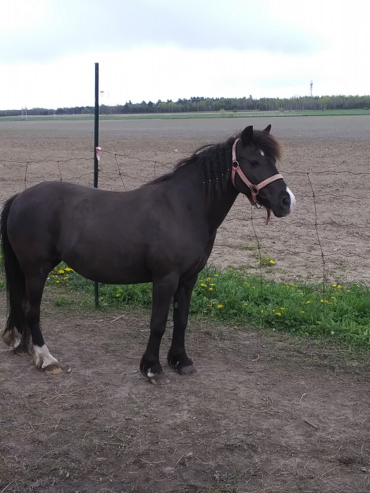 Photo de profil de i.s.a.b