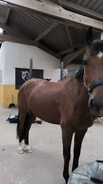 Photo de profil de isabelle7596