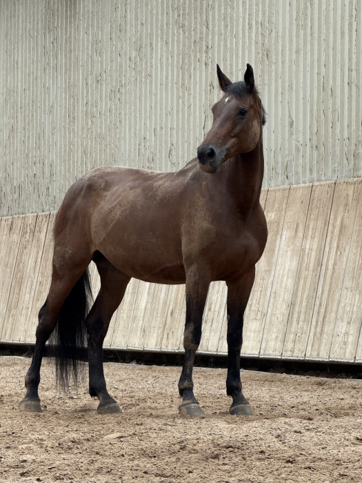Photo de profil de isaline25