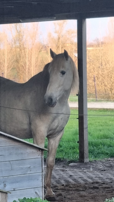 Photo de profil de isisueno