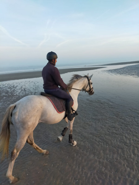 Photo de profil de jack14299