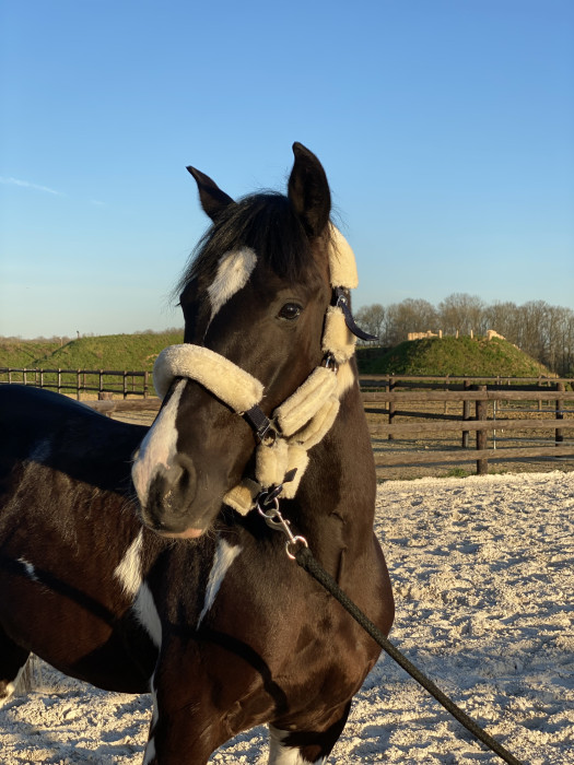 Photo de profil de jack77