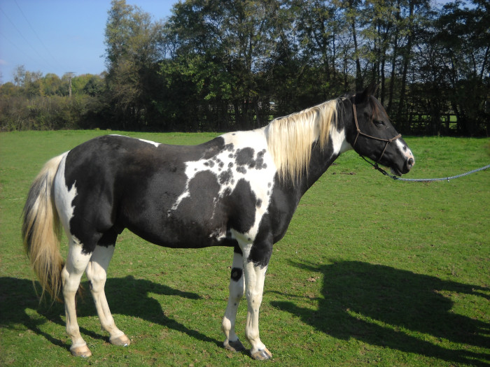 Photo de profil de jackjeff