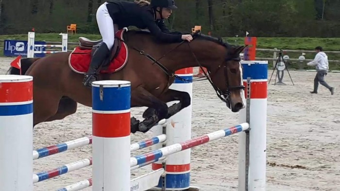 Photo de profil de jadebtn