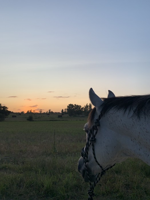 Photo de profil de jadedr