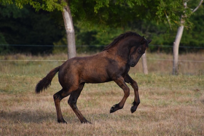 Photo de profil de jaifira