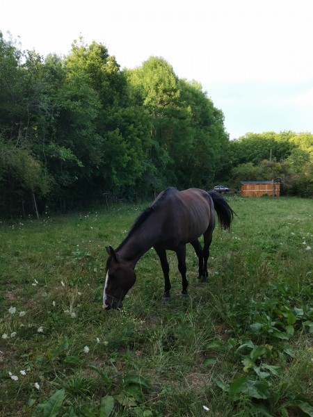 Photo de profil de jairochampagne